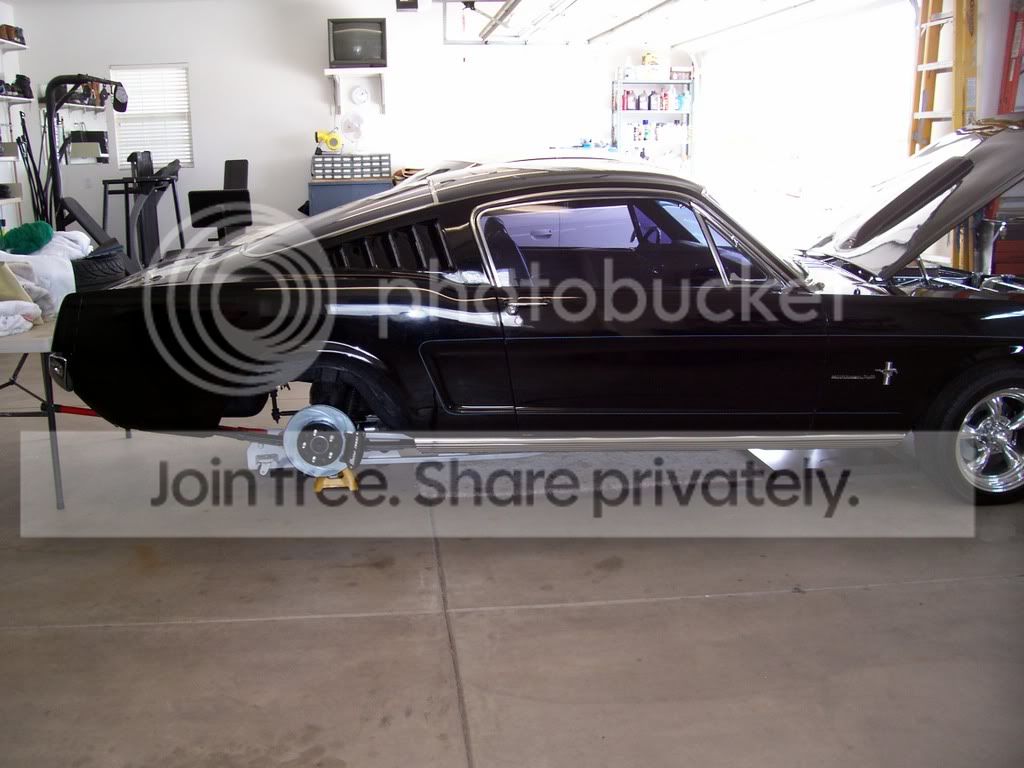 carpics107342.jpg