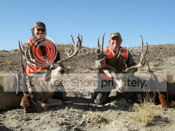 BigBucks.jpg