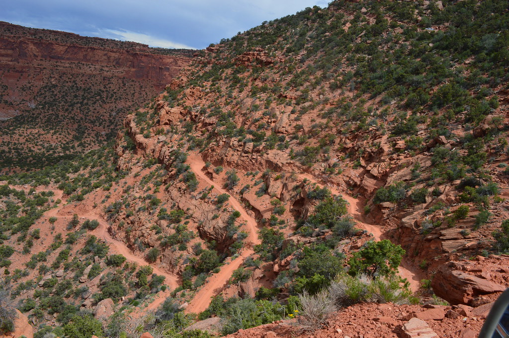 14263521774_42dffe4f95_b.jpg