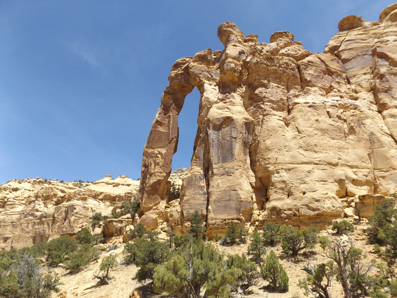 50039275917_5c7bd1f783_h.jpg