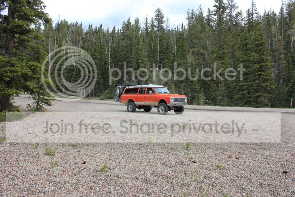 IMG_0460_zps4e16nkfc.jpg