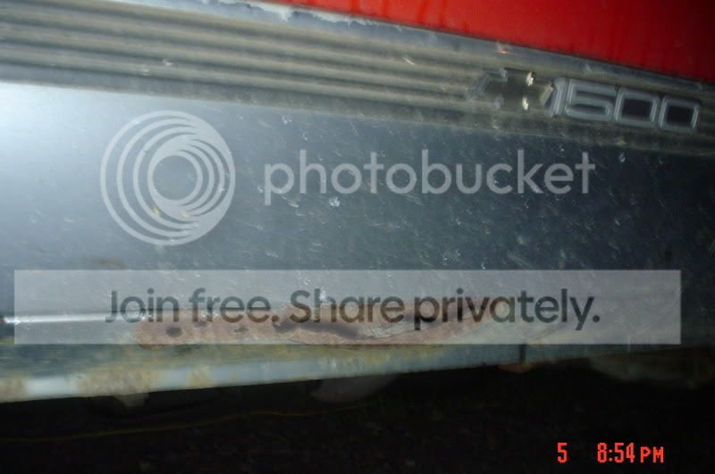 DSC02446.jpg