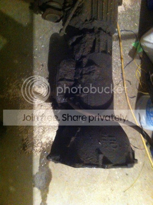 IMG_3236_zpsqms935jw.jpg