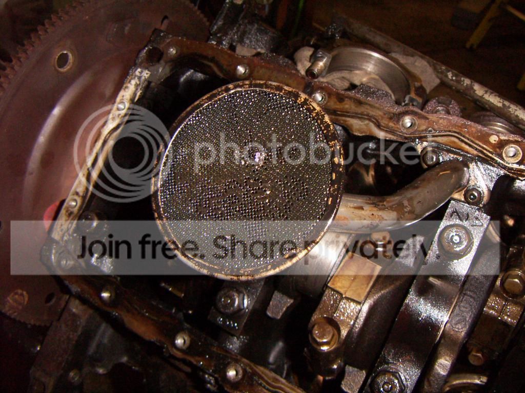 PICT0712.jpg