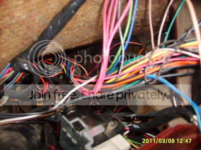 S5000279.jpg