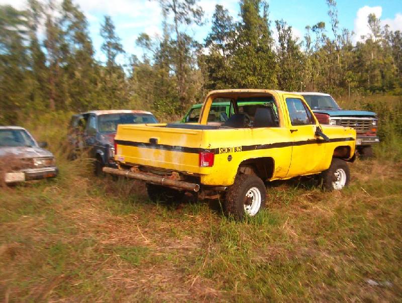 bumper3.jpg