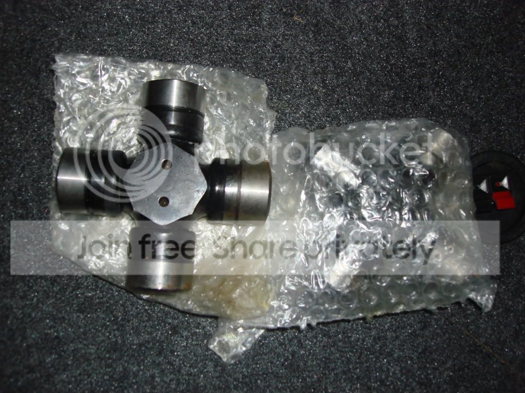 DSC01248.jpg