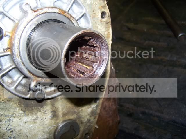 pics097.jpg