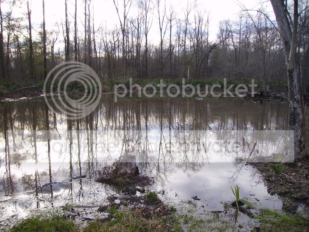 PICT0864.jpg