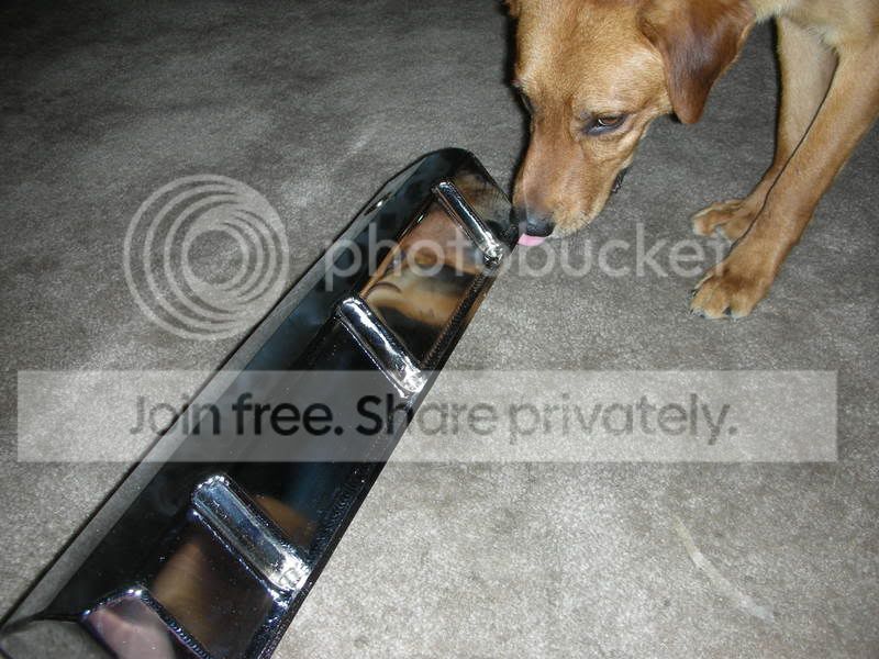 DSCN1032.jpg