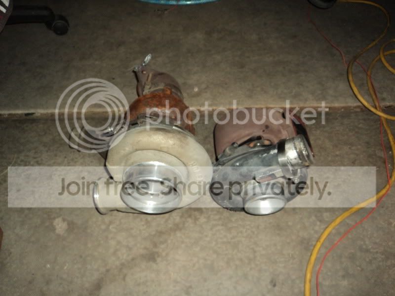 DSC00795.jpg