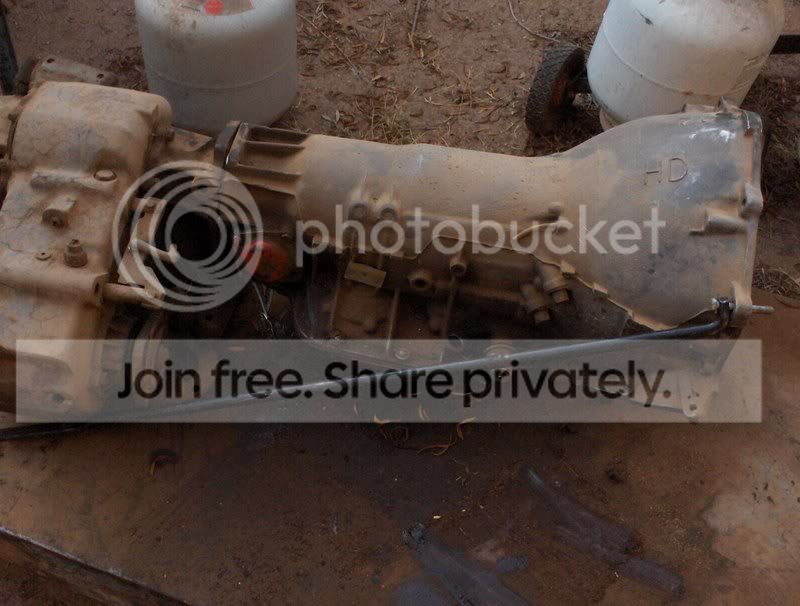 brace001.jpg