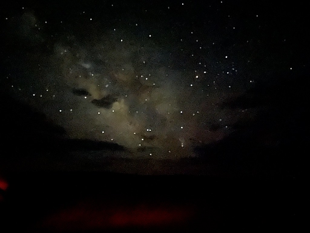 52188685717_f094fb6b6c_b.jpg