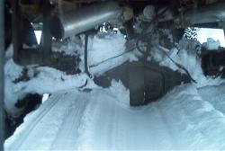 Picture_314.jpg
