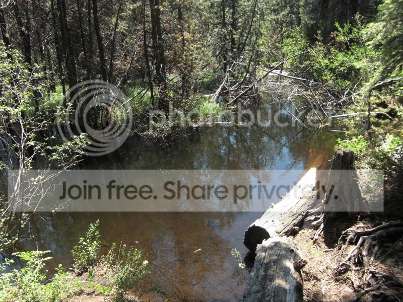 RubiconTrailJuly2012014.jpg