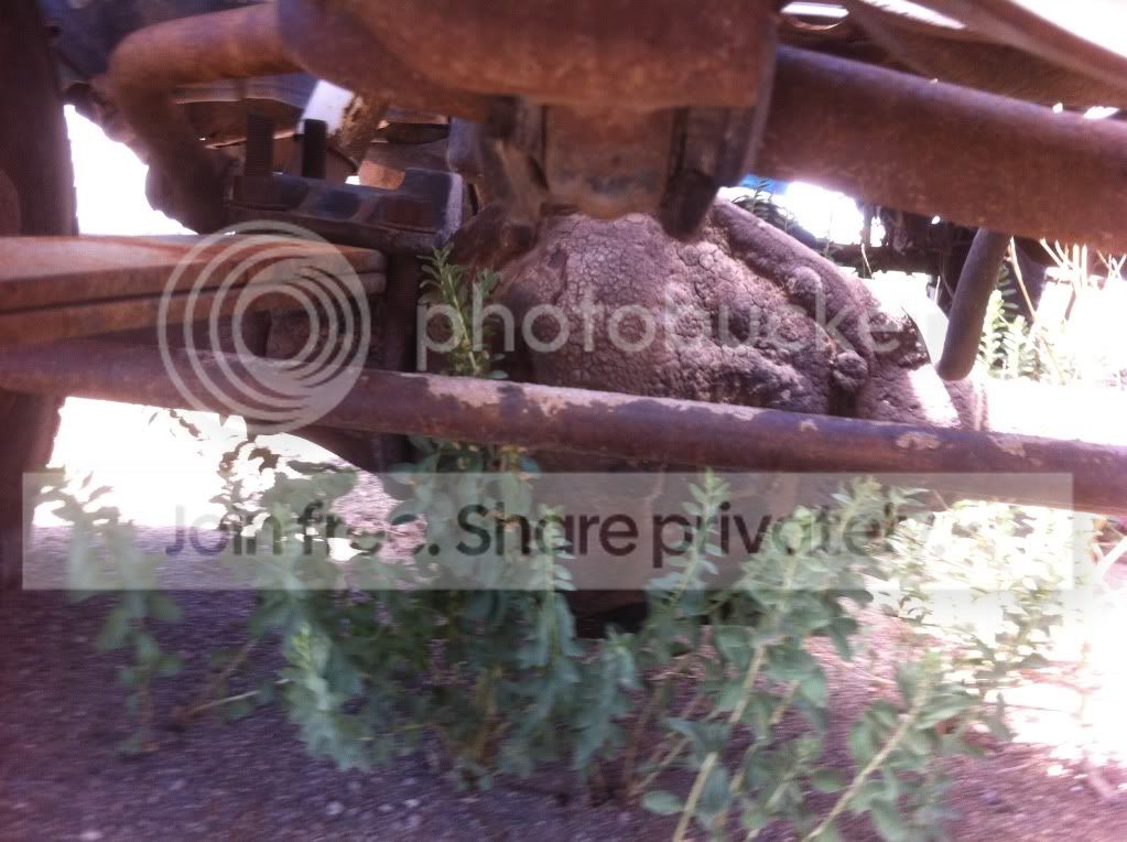 AXLE-1.jpg