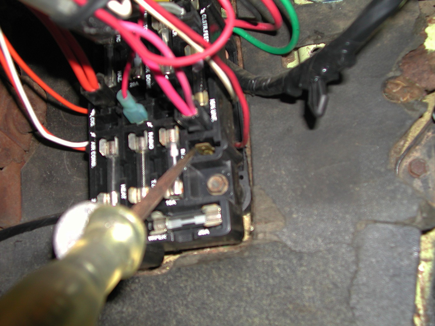 DSCN2254-vi.jpg