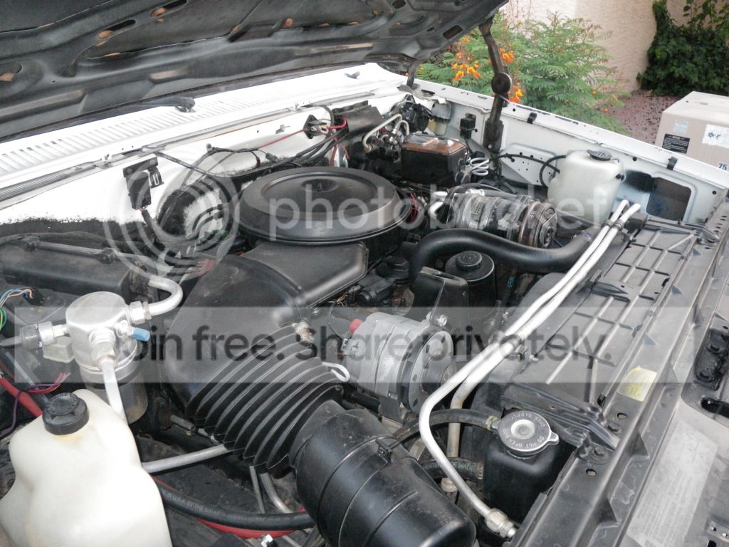 IMGP4330.jpg