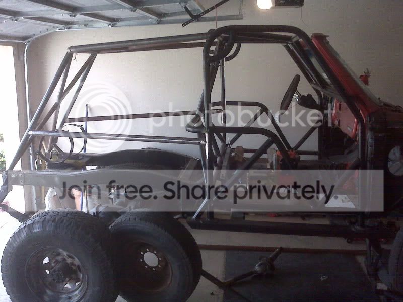 cage2.jpg