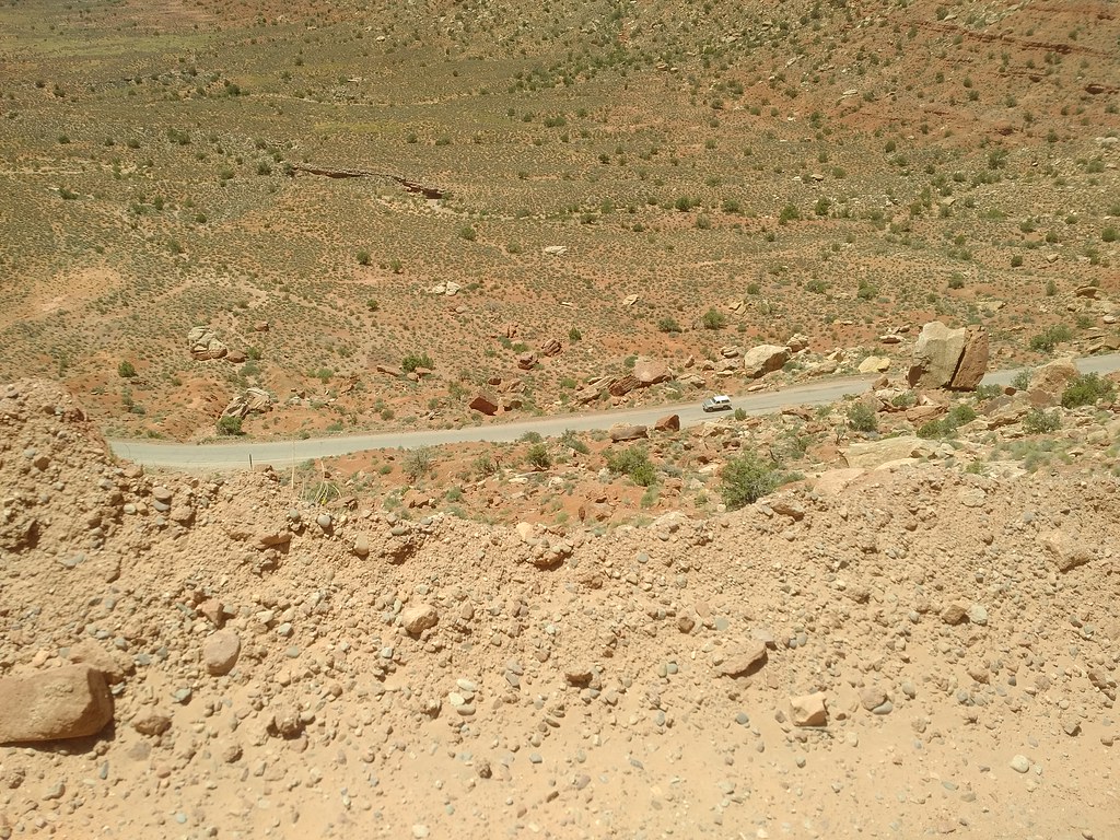 35373732666_770cdebca8_b.jpg