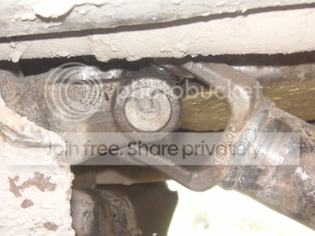 PICT0273.jpg