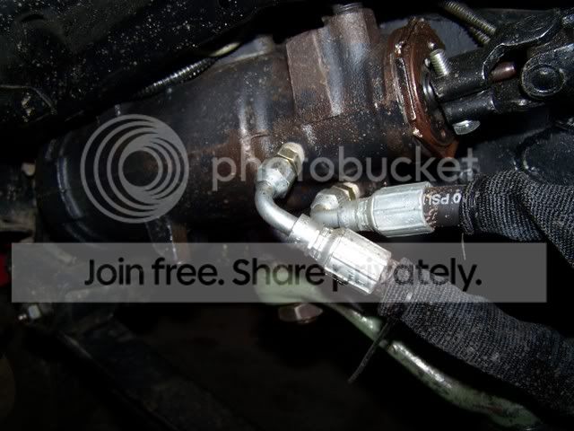 pics500.jpg