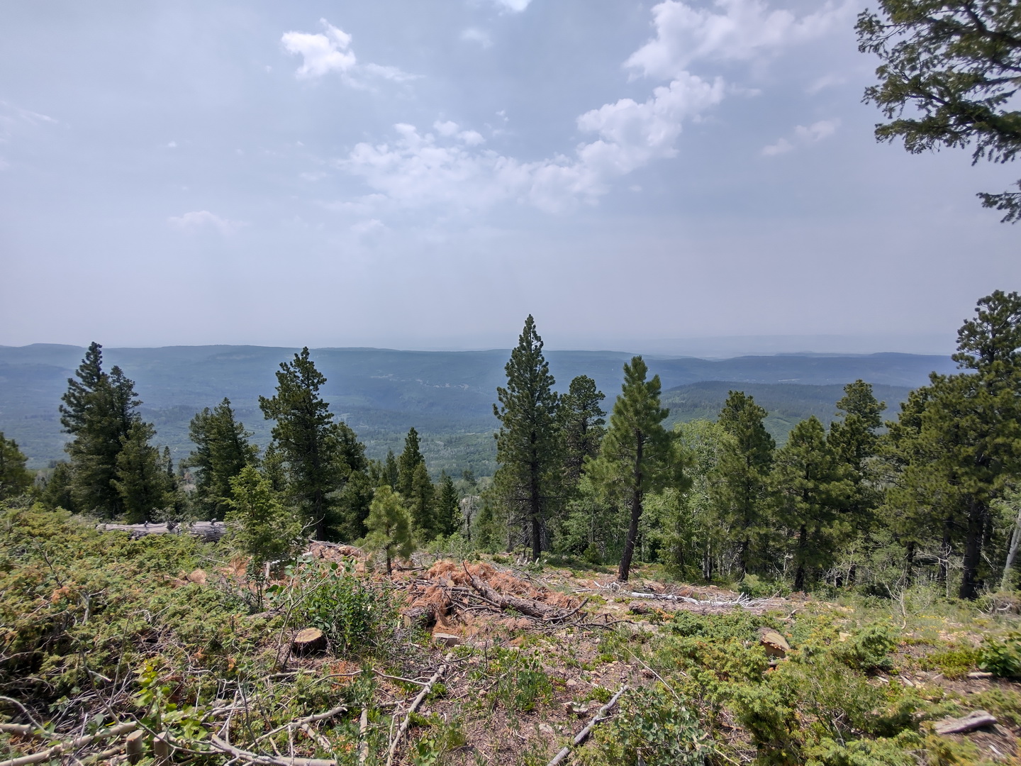 IMG_20210713_120049025_HDR.jpg