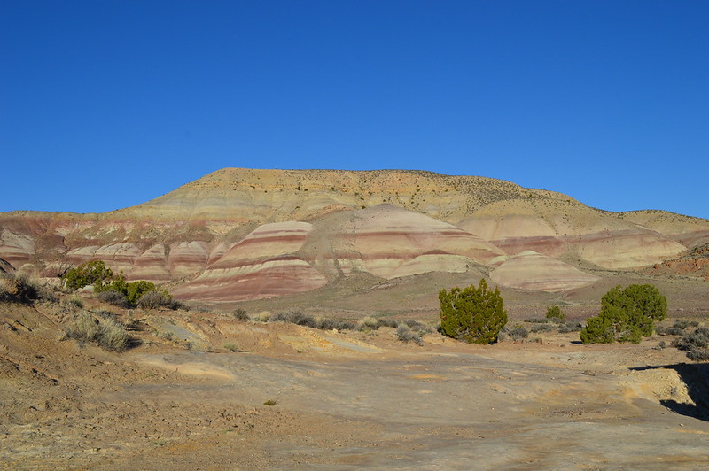8611034721_8f41194887_c.jpg