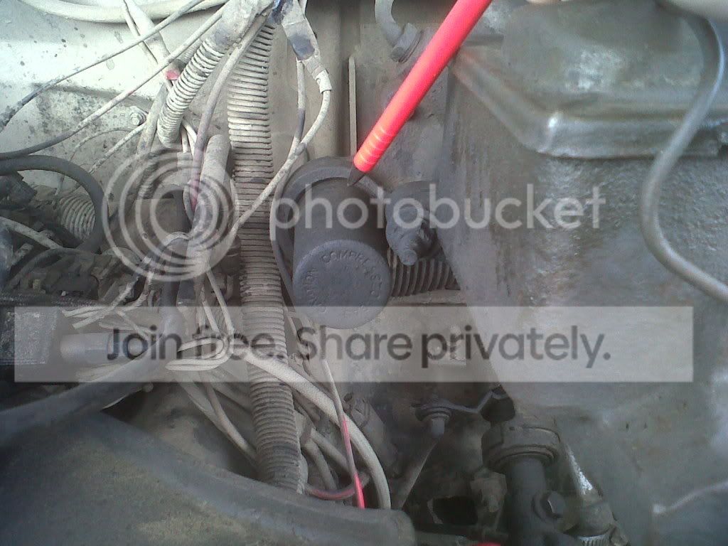 IMG-20120406-00102.jpg