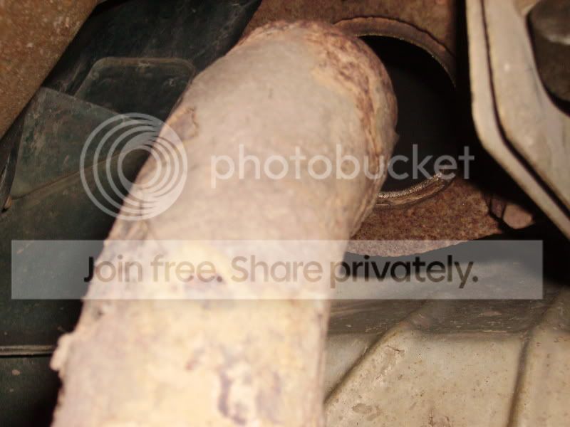 PICT0206.jpg