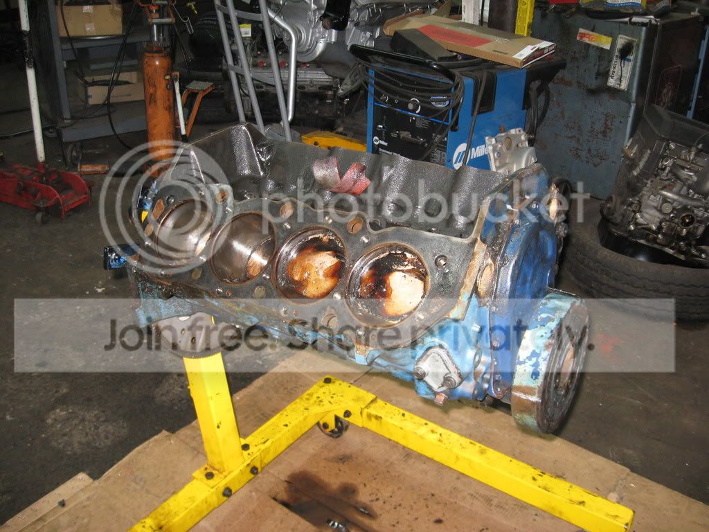 Picture003-41.jpg