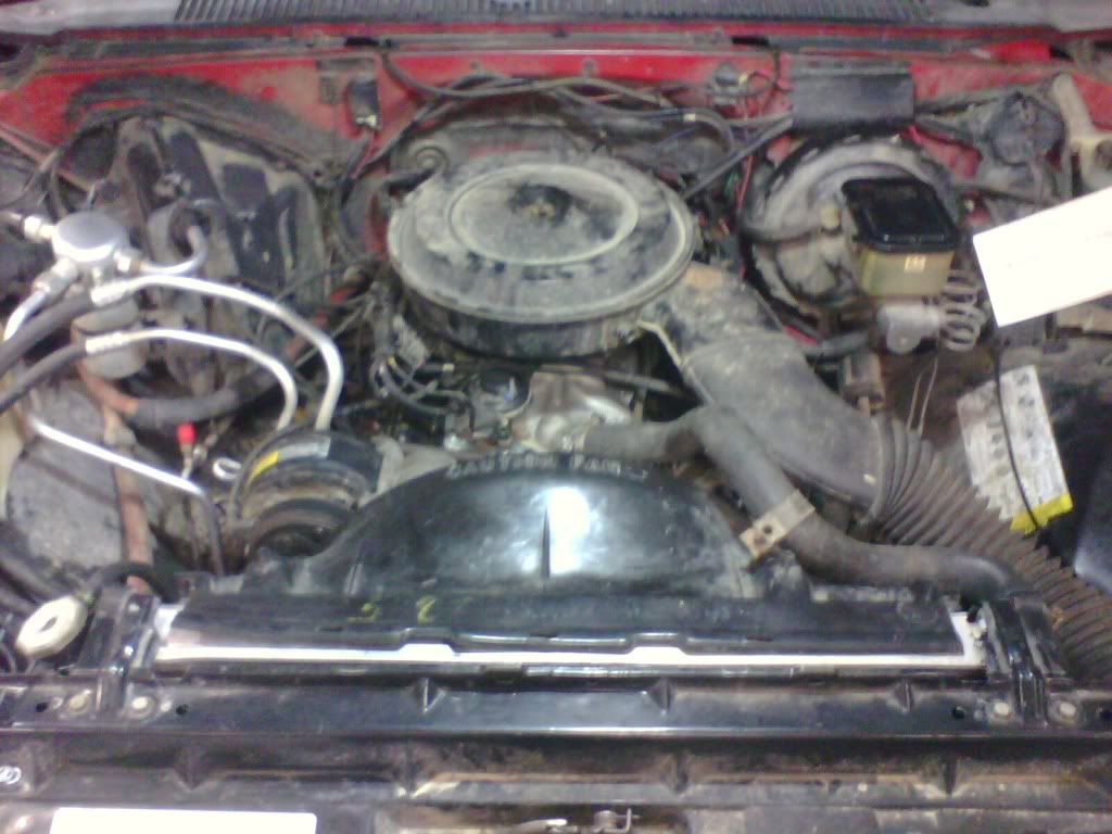 IMG0164A.jpg