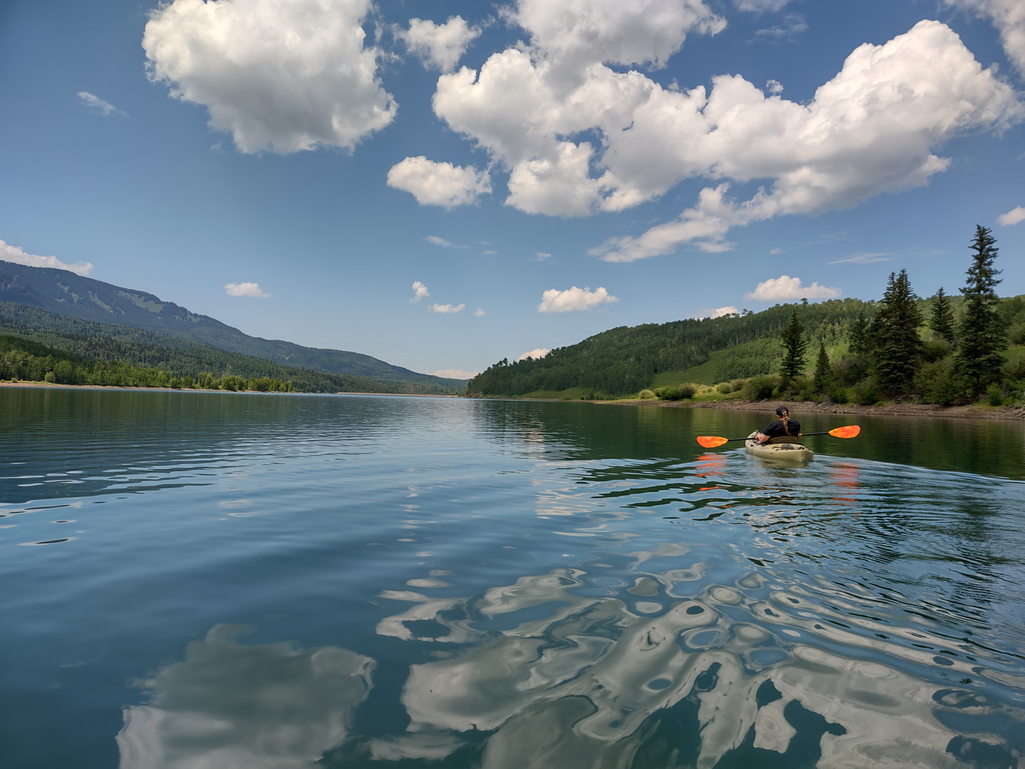 IMG_20210716_143558489_HDR.jpg