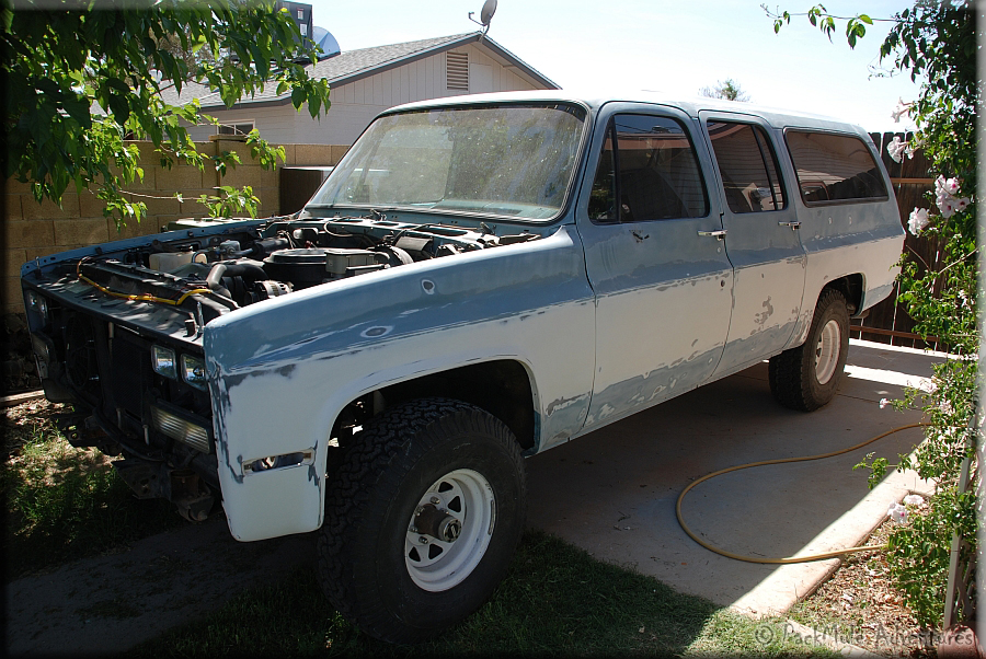 mulebody-0001.jpg