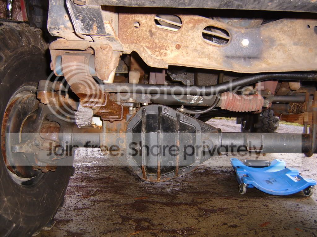 S5300176.jpg