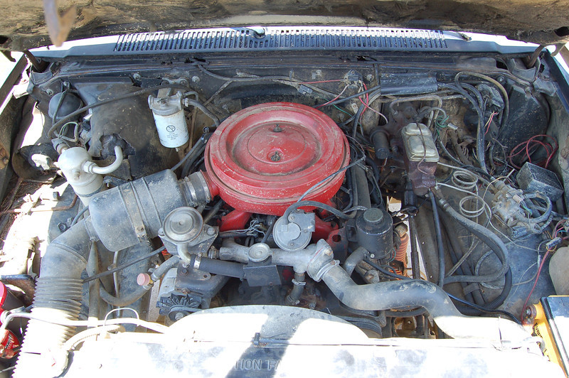 i-598Ldbg-L.jpg