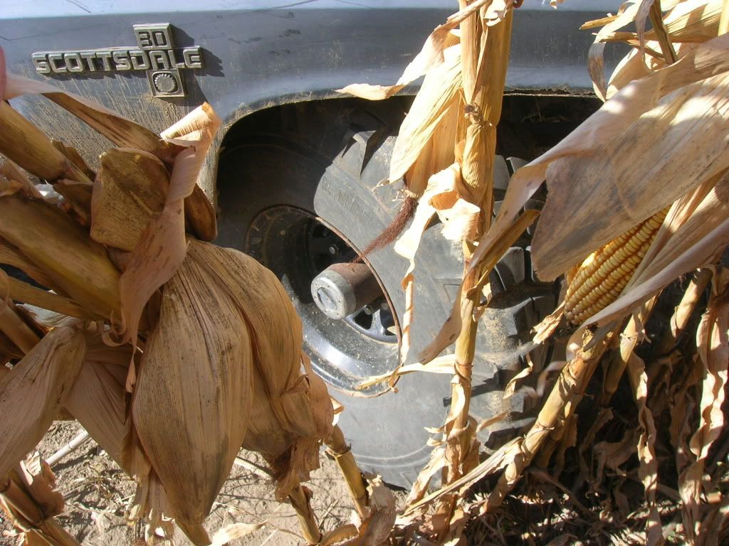 DSCN9456.jpg