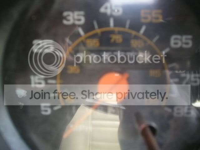 Speedo.jpg