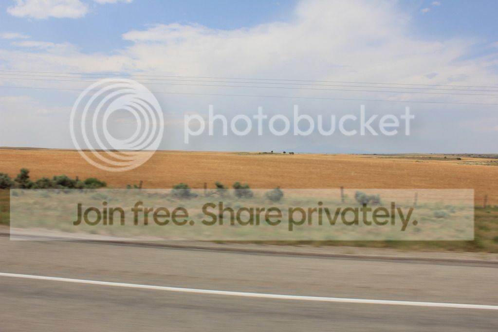 IMG_5644.jpg