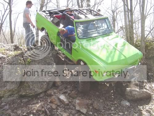 forestk5.jpg