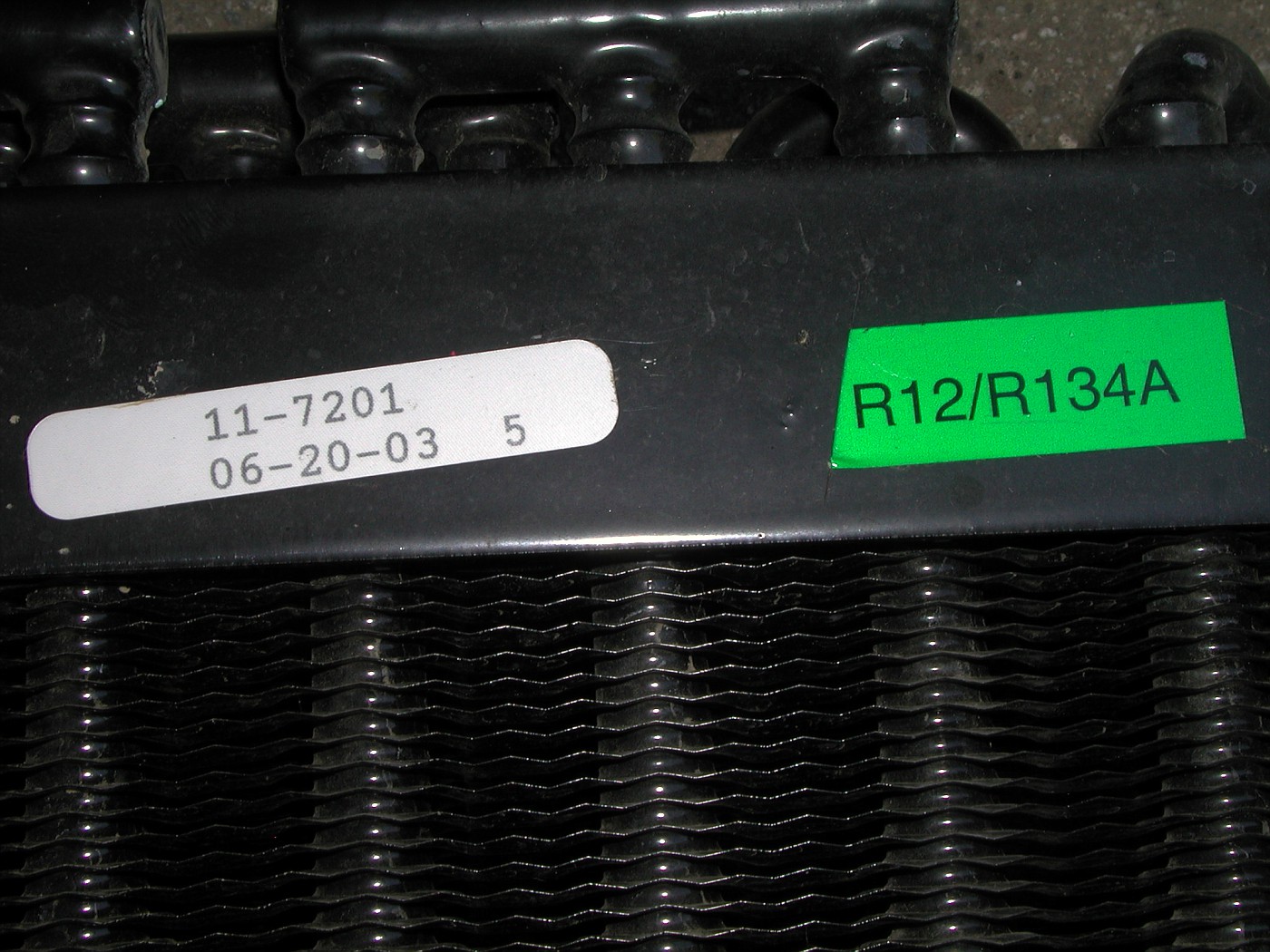 DSCN1525-vi.jpg