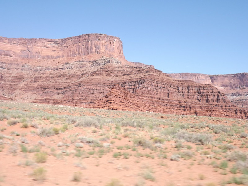 51488059238_786b8b8280_c.jpg