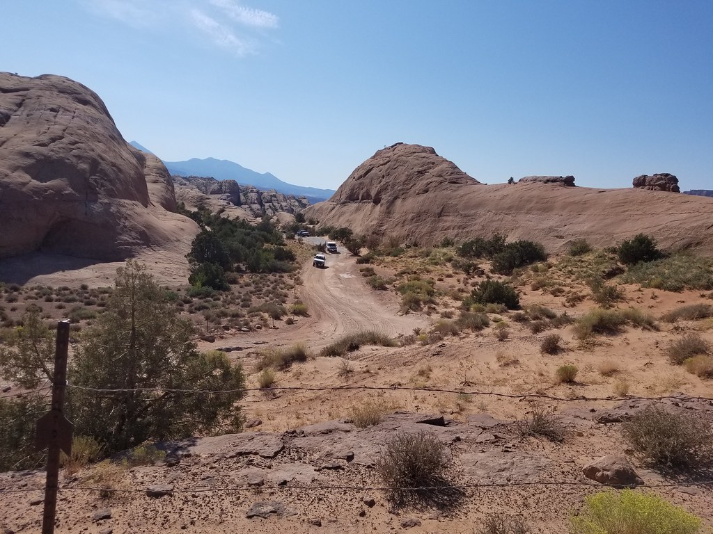 48738259751_9f31fe9197_b.jpg