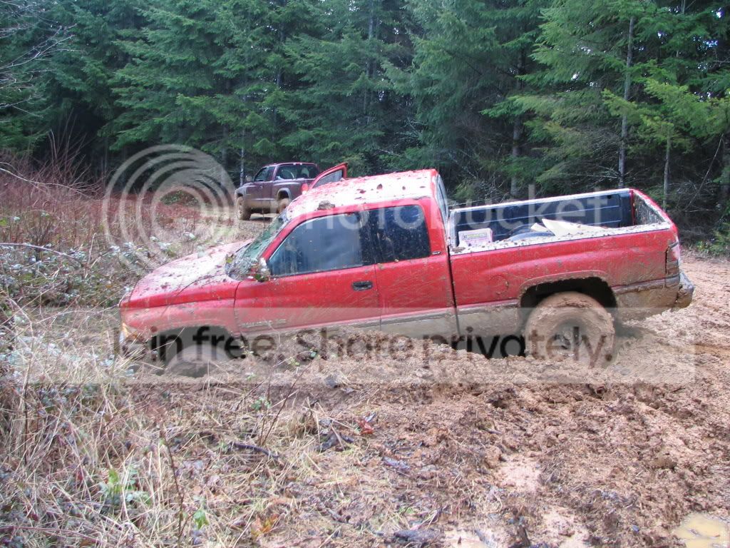 IMG_0192.jpg