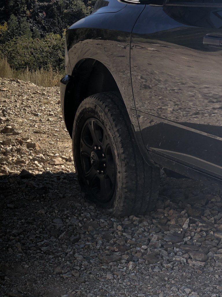 48862868736_ff92cf261b_b.jpg