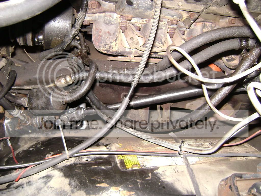 DSC01523.jpg