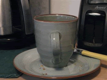 SpinnycupGIF.gif