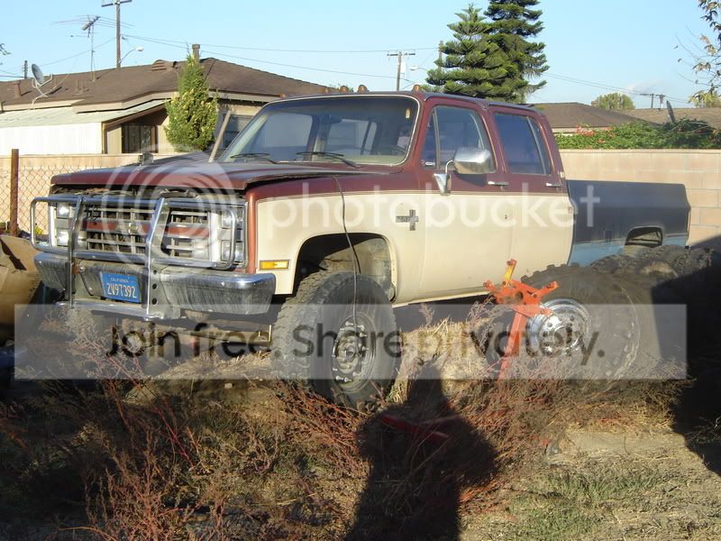 JersPics005.jpg