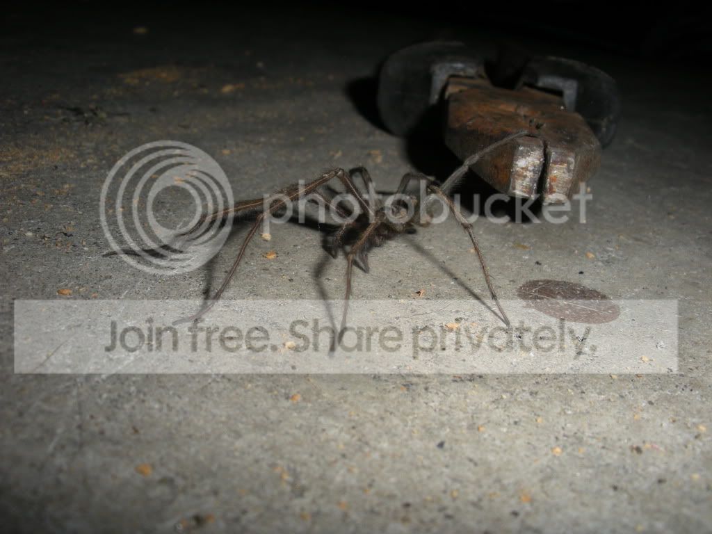 DSCN4906.jpg