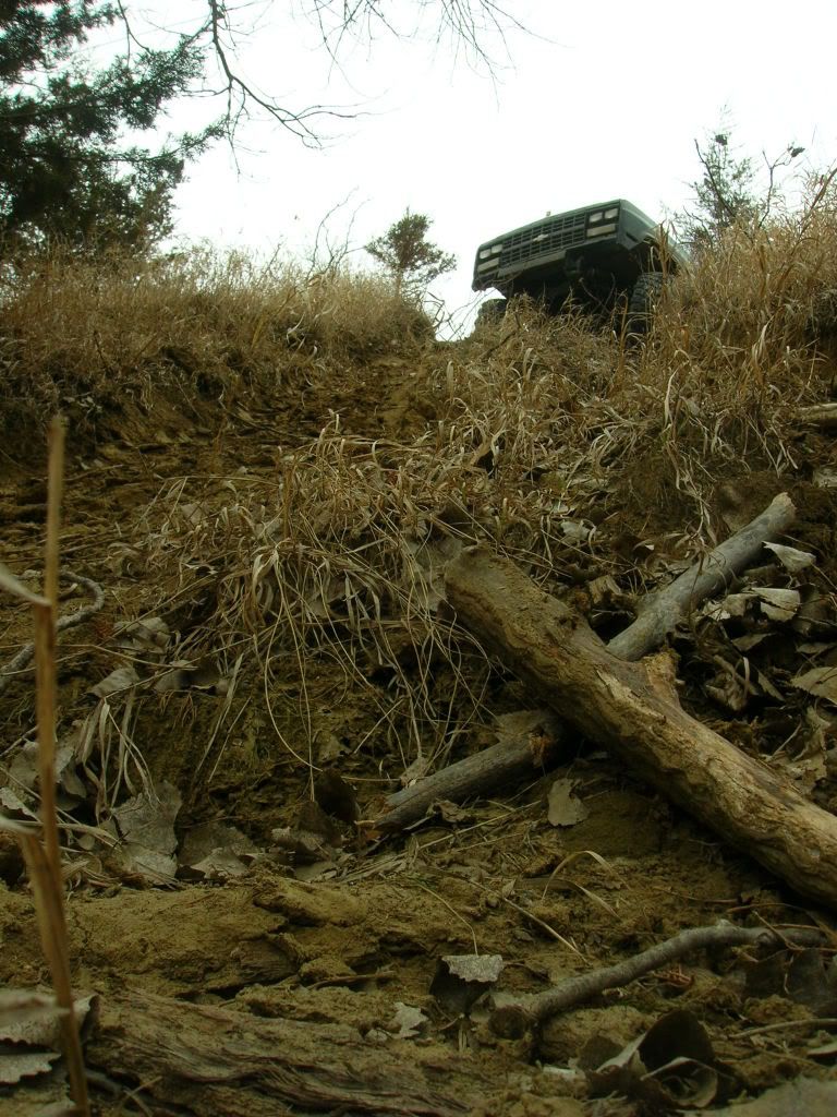 Picture007-1.jpg